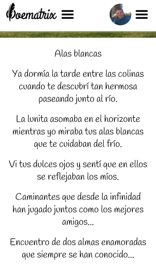 Poematrix. Poemas de Francisco Gallardo Perogil