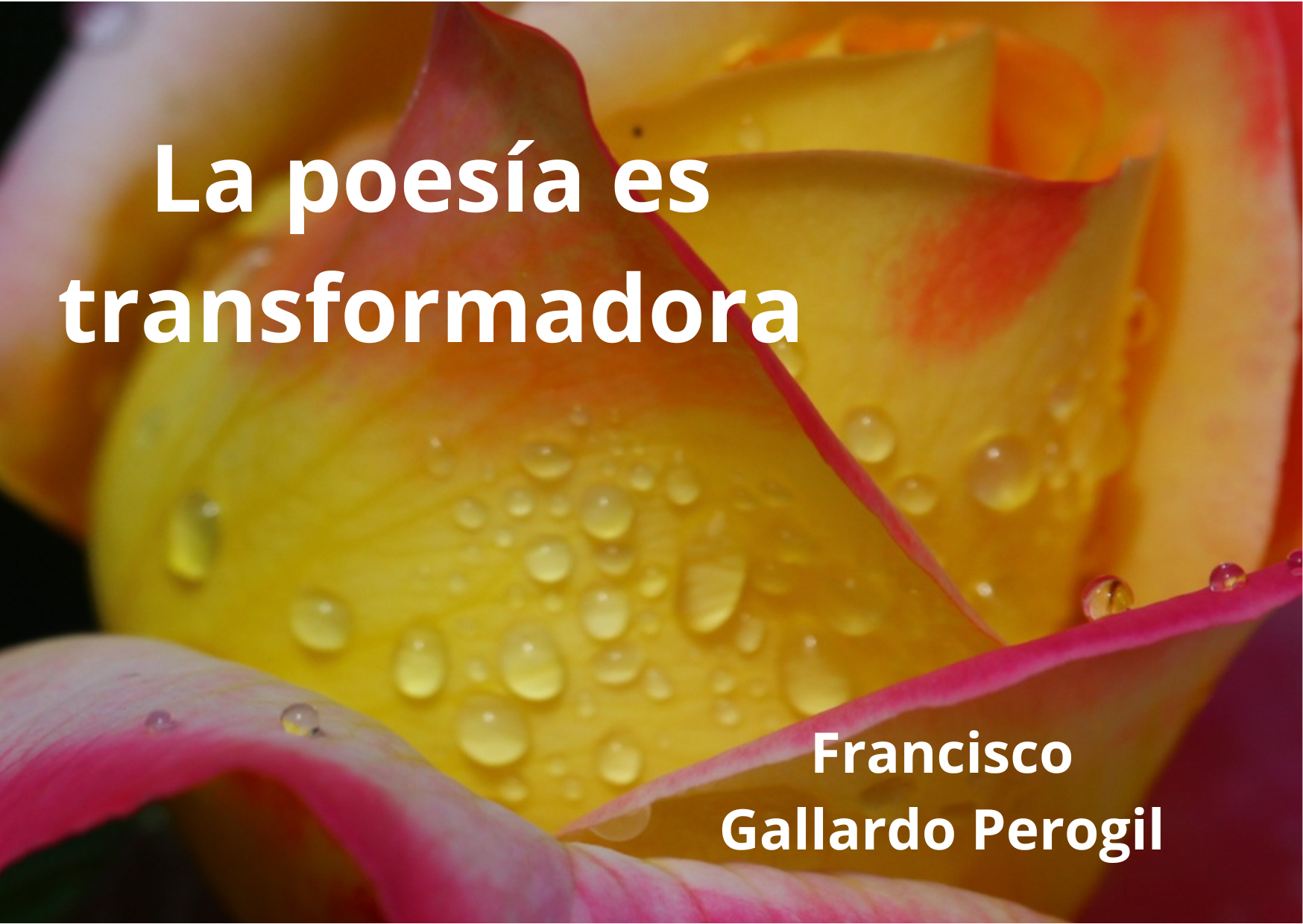 Francisco Gallardo Perogil Poeta